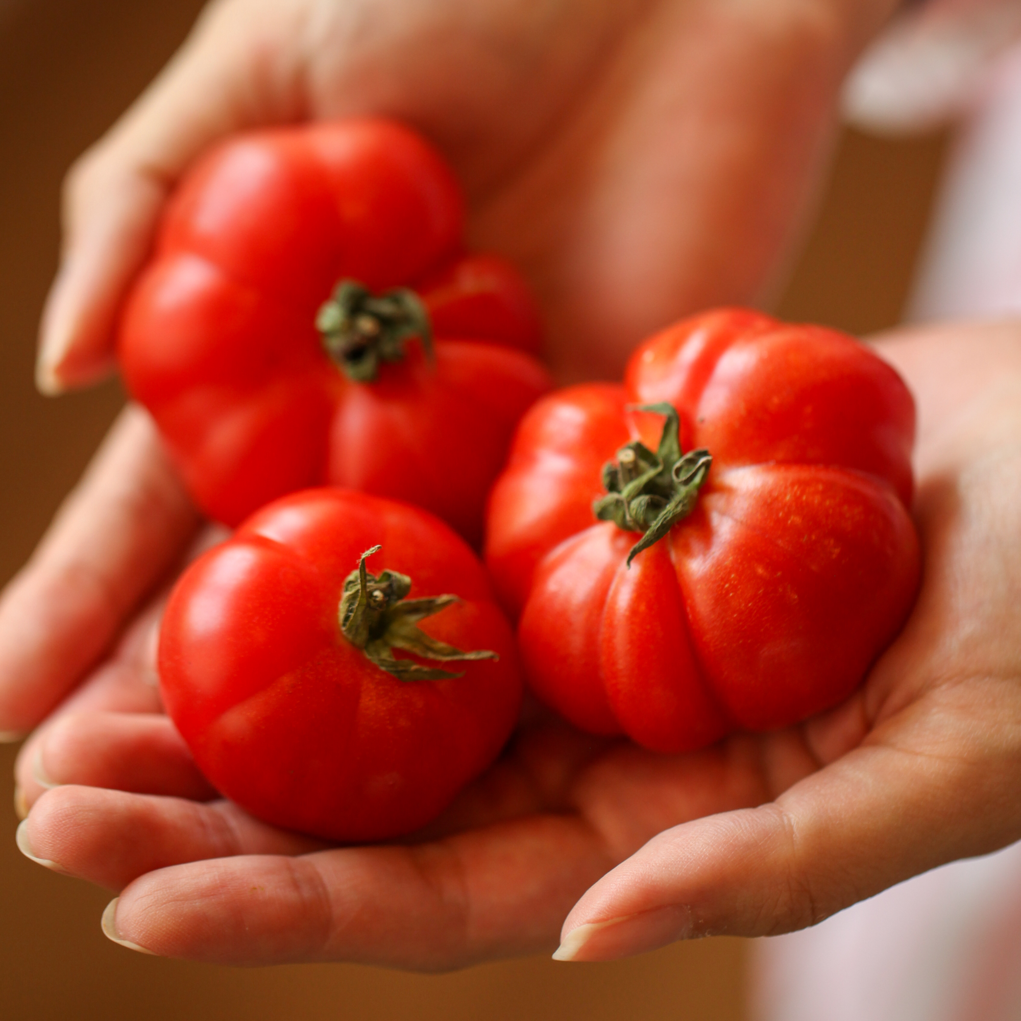 Organic Red Heirloom Tomatoes